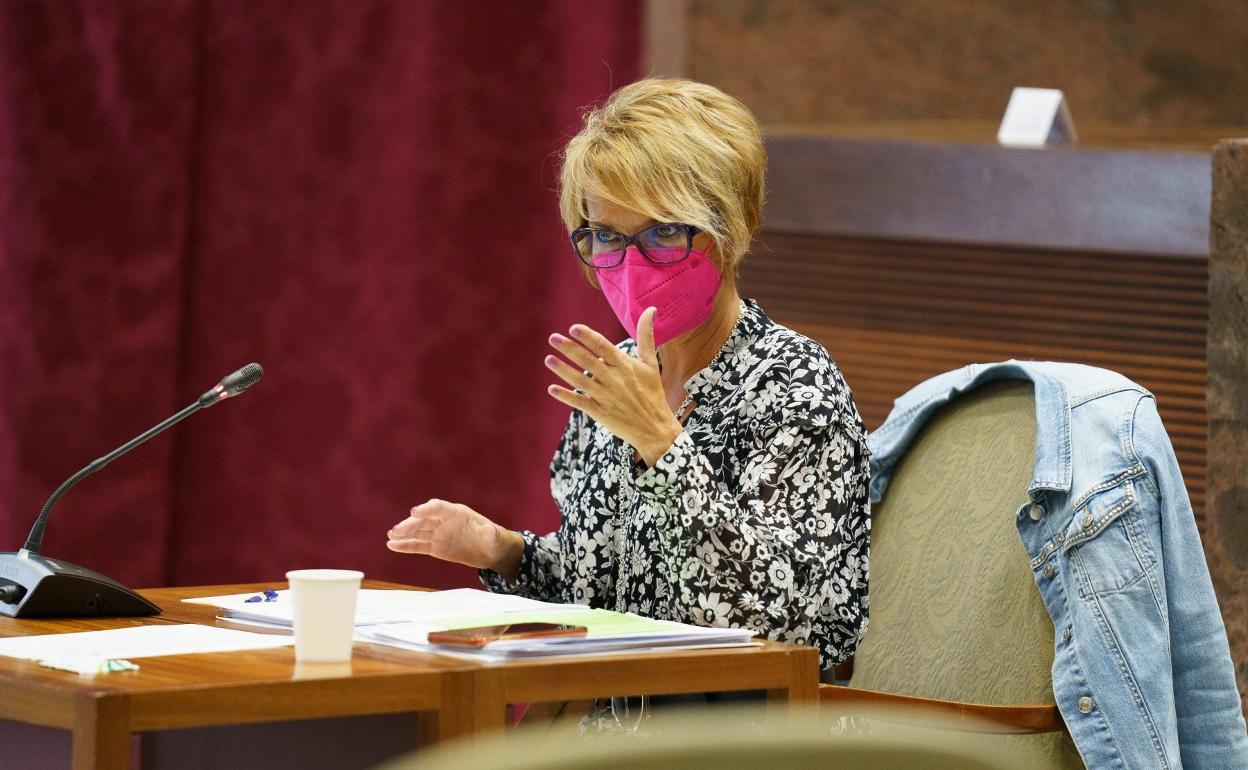 La consejera de Economía y Empleo del Gobierno de Canarias, Elena Máñez, ayer en el Parlamento autonómico. 