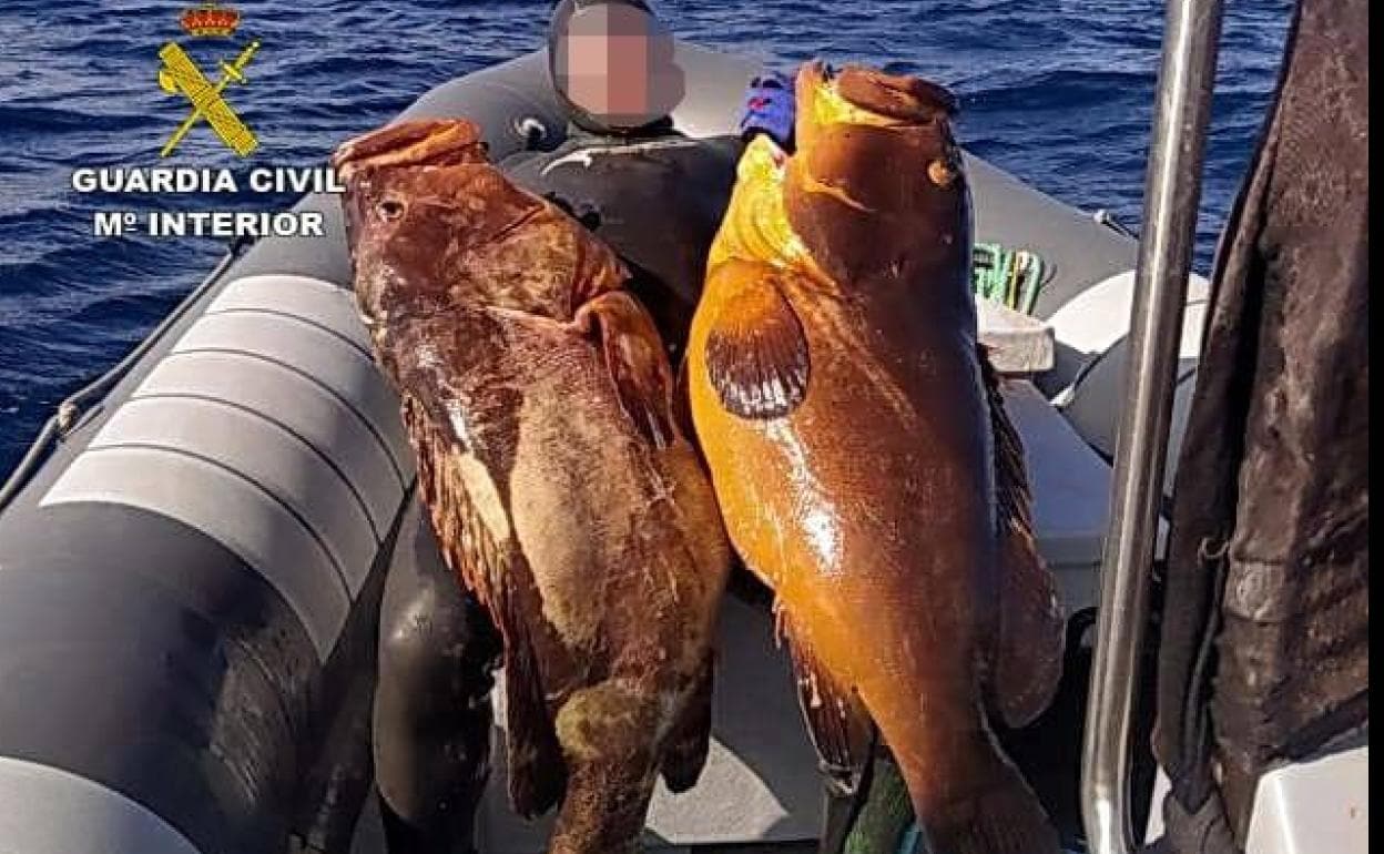 La Guardia Civil desarticula un grupo de pescadores furtivos en Lanzarote