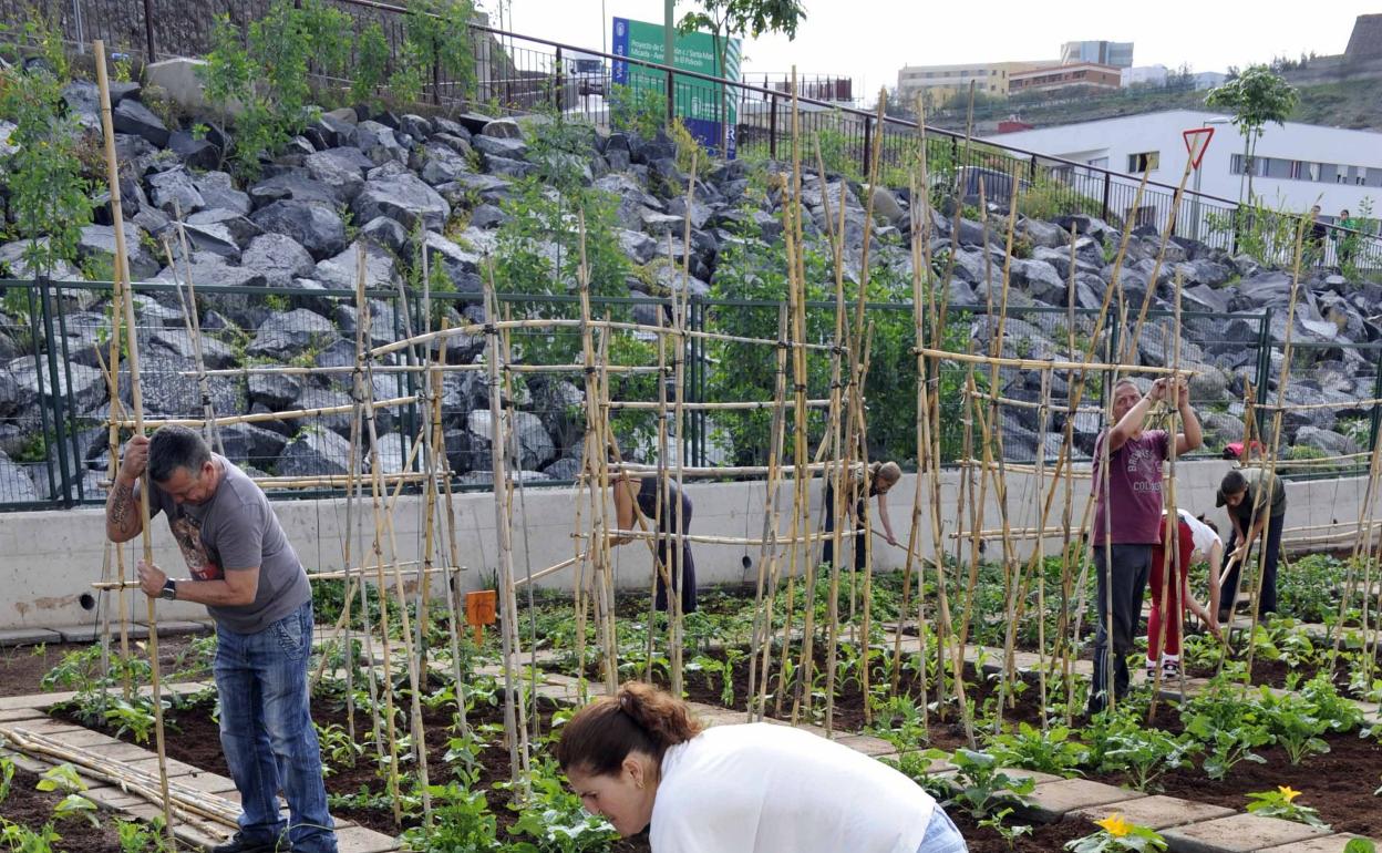 Las ciudades han ido recuperando espacios para la agricultura. 