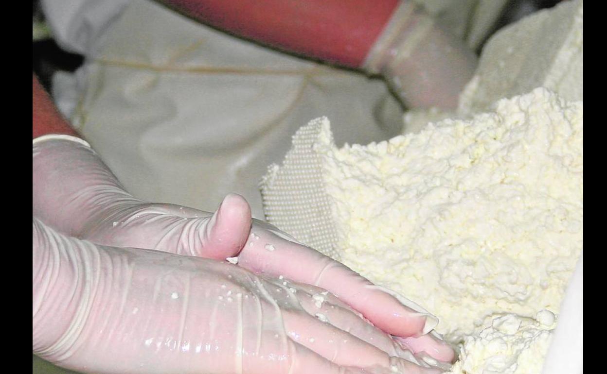 GMR amplía sus servicios para asesorar a cooperativas y asociaciones en todo su proceso productivo