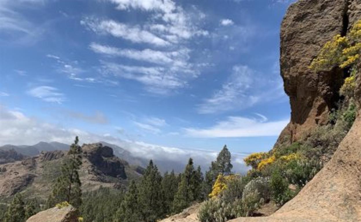 Las pernoctaciones extrahoteleras en Canarias caen un 77,2% en marzo