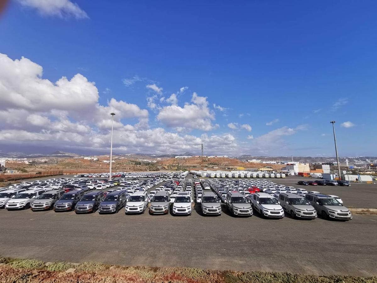 Fotos: Esta es la nueva flota de transporte sanitario