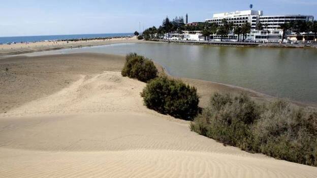 Maspalomas, San Bartolomé de Tirajana