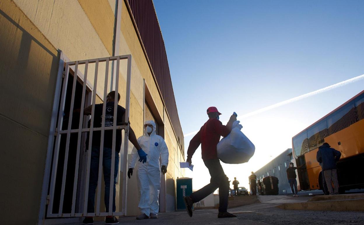 Las últimas personas alojadas en la Nave del Queso y que permanecían en cuarentena salen de la instalación hacia las guaguas para su traslado. 