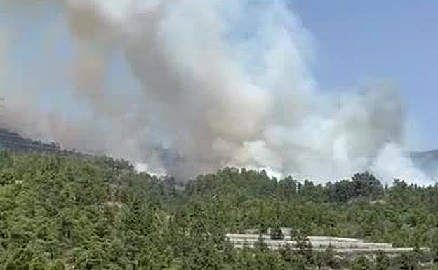 Así se ve el incendio forestal de Arico desde el sur de Tenerife