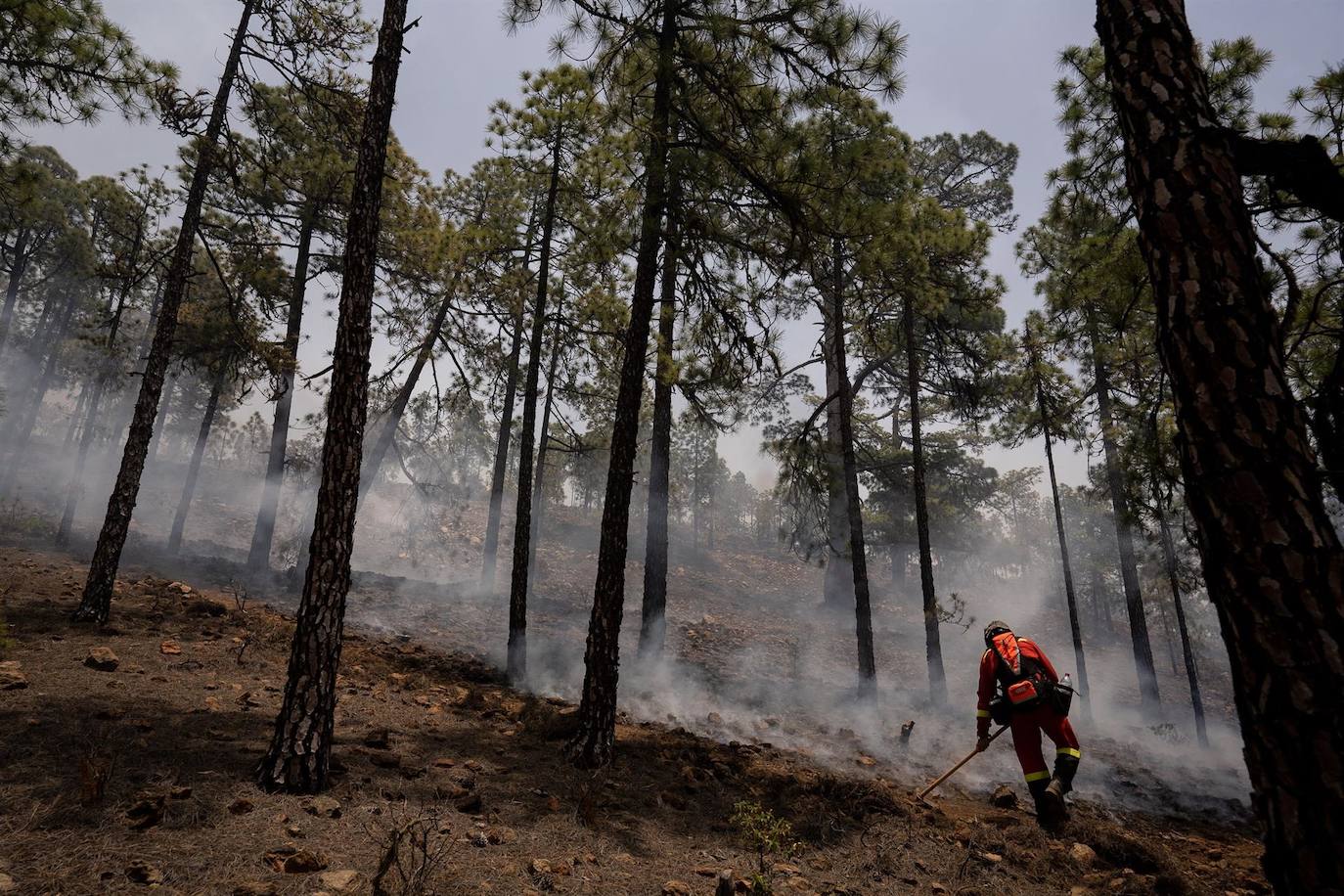 Fotos: Miembros de la Unidad Militar de Emergencias UME participan en las labores de extinción en ell incendio de Arico.