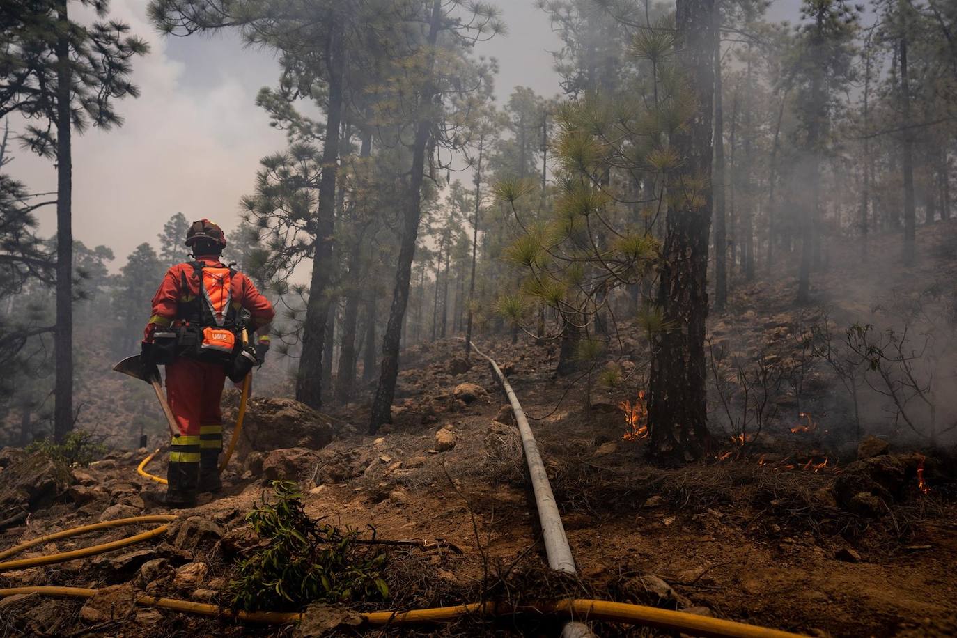 Fotos: Miembros de la Unidad Militar de Emergencias UME participan en las labores de extinción en ell incendio de Arico.