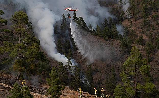 Prudencia pero optimismo en Tenerife con el incendio forestal, cen vías de ser controlado. 
