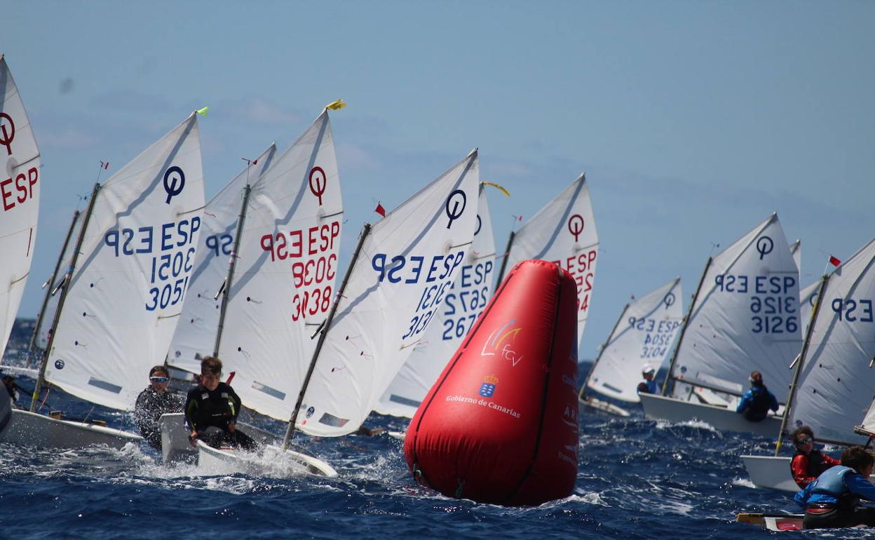 Trofeo 30 de mayo Día de Canarias.