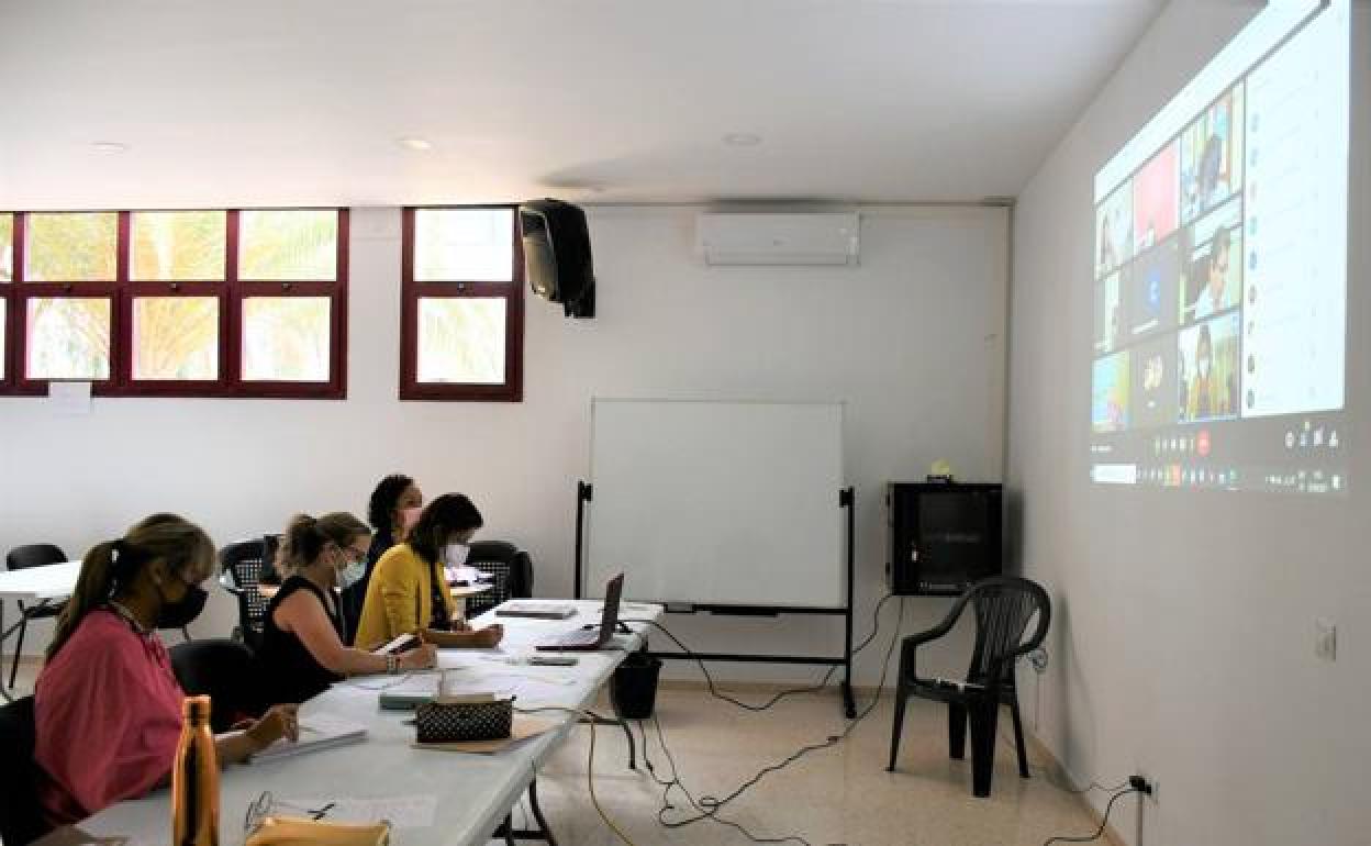 Una de las dos sesiones celebradas, ambas telemáticas. 
