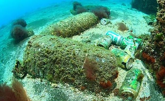 La grave amenaza de los plásticos para el ecosistema marino