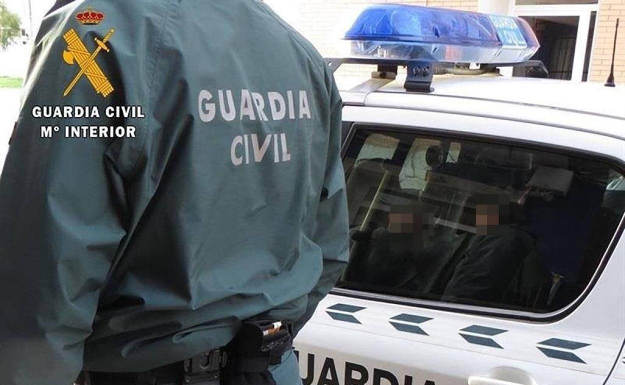 Investigados por sustraer maquinaria agraria y ganado ovino en Tenerife