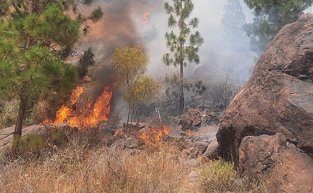 El incendio quemó entre 3 y 4 hectáreas, según las primeras estimaciones realizadas por el Cabildo. 
