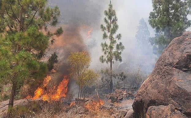 Imagen del fuego en el lugar del incendio en el sur de Gran canaria. 
