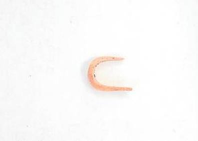 Imagen secundaria 1 - Anzuelo hecho con diente de cochino, un desescamador de cuerno de cabra y restos de fuegos y escamas 