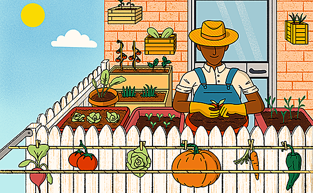 Saque fruto a su huerto casero