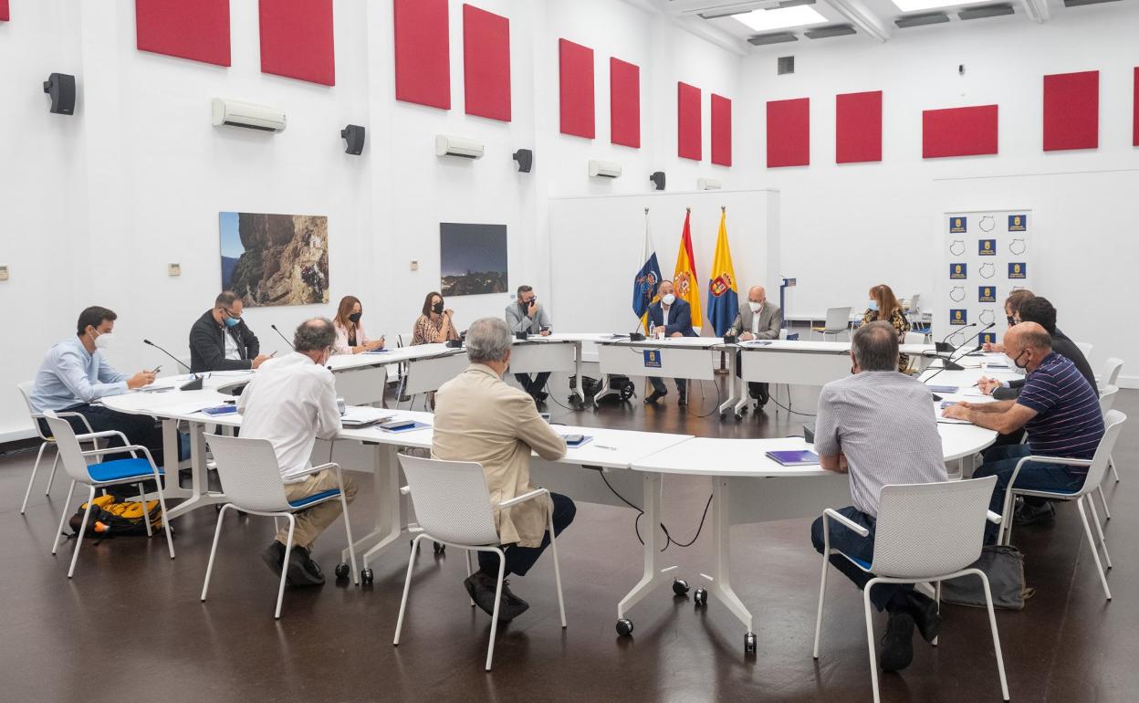 El Gobierno canario se incorporó ayer a la comisión de trabajo del Cabildo que prepara la propuesta. 