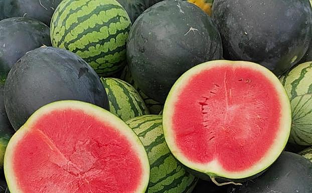 Las sandías de la tierra de Sergio. 