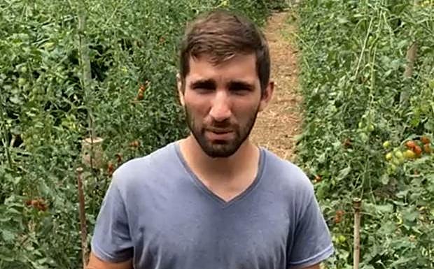Sergio Rodríguez, el agricultor tinerfeño que ha logrado vender los 8.000 kilos de sandía. 