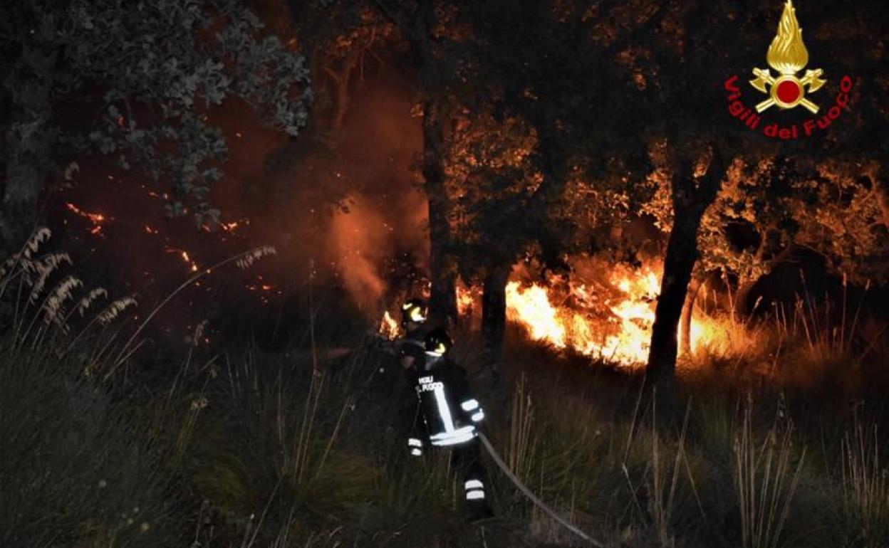 Sicilia ha sufrido más de 200 incendios en los últimos días.