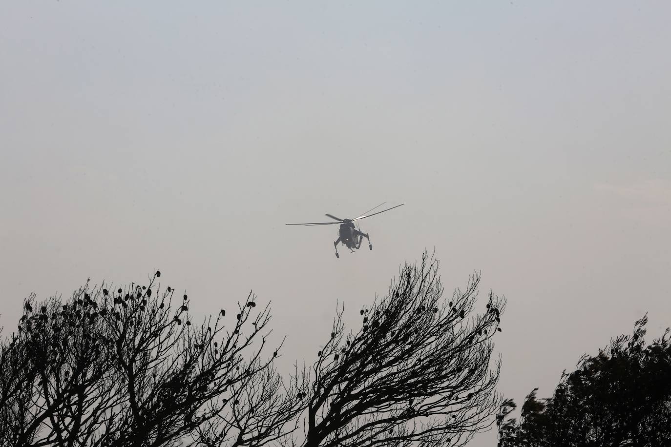 Fotos: Grecia sigue luchando contra el fuego
