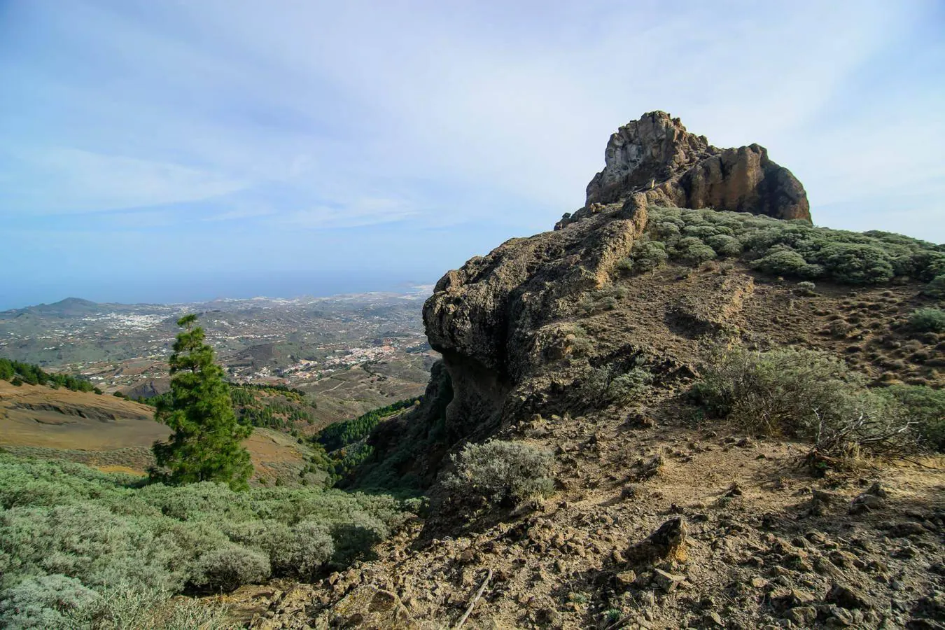 Roque Saucillo (Gran Canaria) 