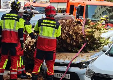 Imagen secundaria 1 - Cae una palmera sobre un coche en la calle Franchy Roca