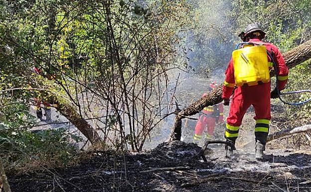 El incendio de La Palma sigue bajo control y baja a nivel de alerta 1