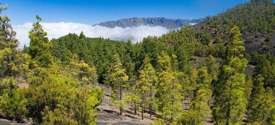 Parque Natural Cumbre Vieja (La palma)