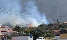 Declarada situación de desastre natural del agro en La Palma por el incendio