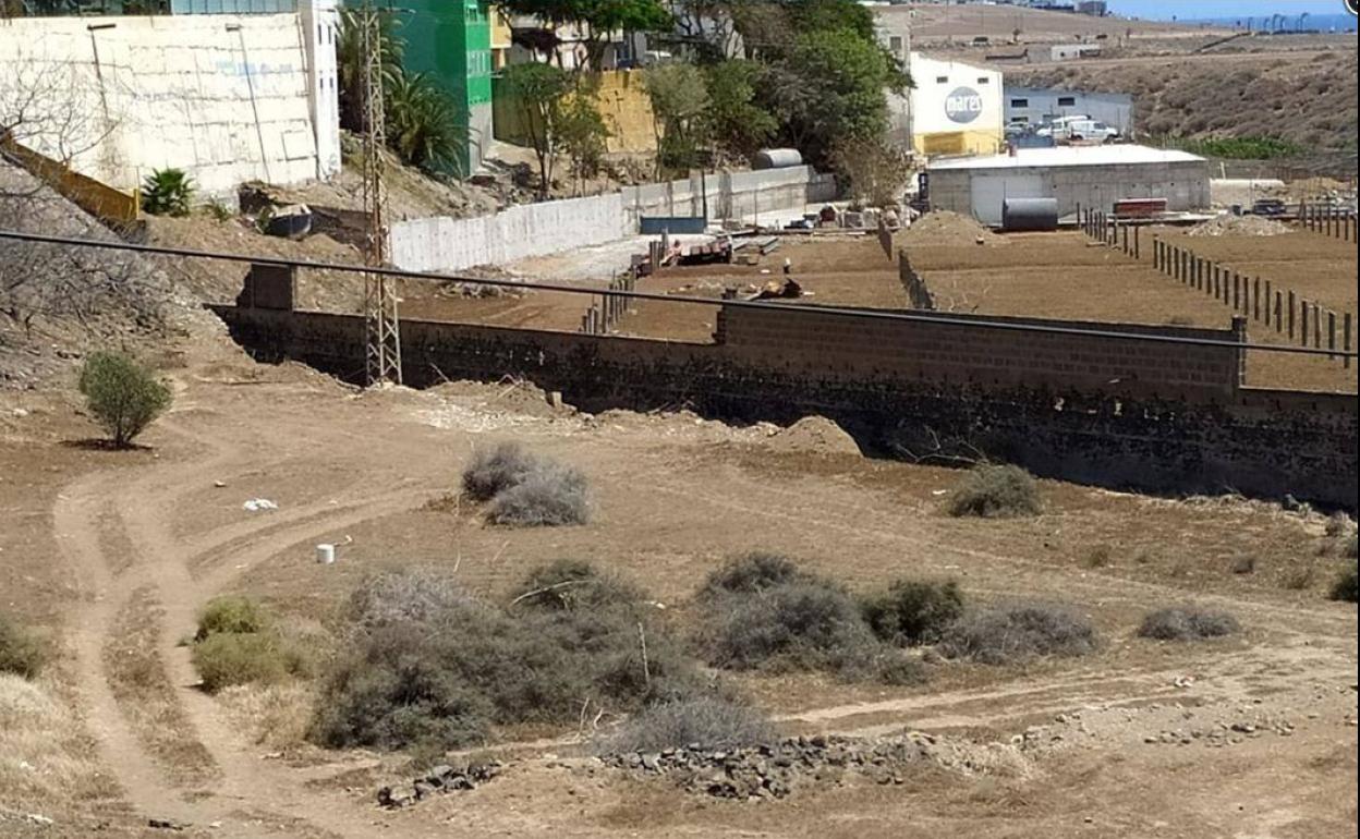 Marpequeña teme que sus lagartos gigantes estén en peligro por unas obras