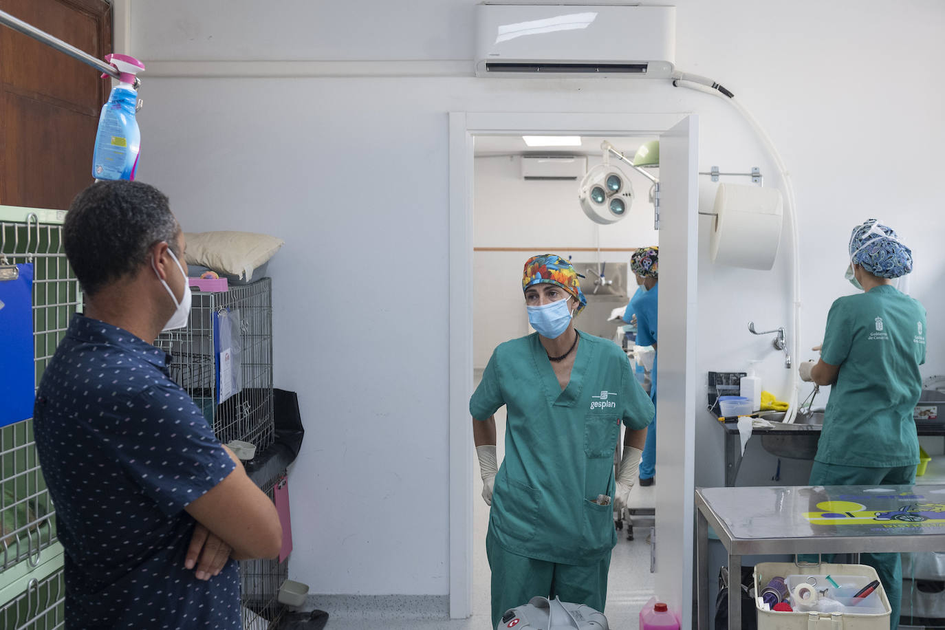 Fotos: Un día en el albergue insular de animales de Gran Canaria