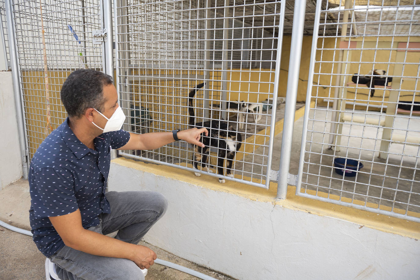 Fotos: Un día en el albergue insular de animales de Gran Canaria