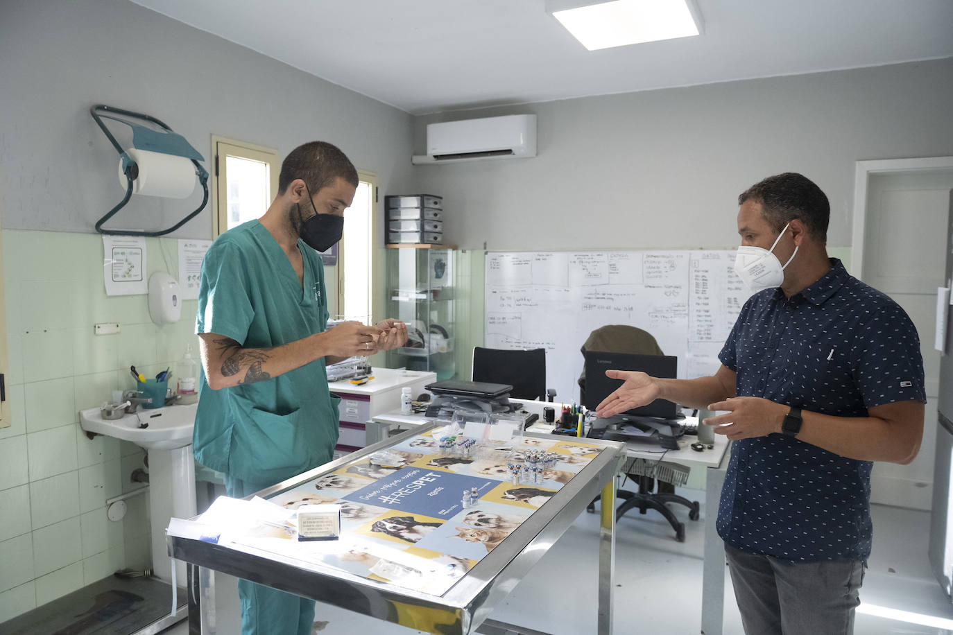 Fotos: Un día en el albergue insular de animales de Gran Canaria