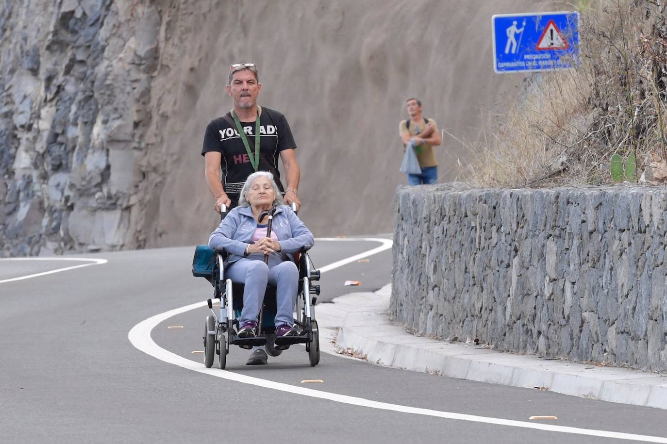 Fotos: Acto institucional del Día del Pino