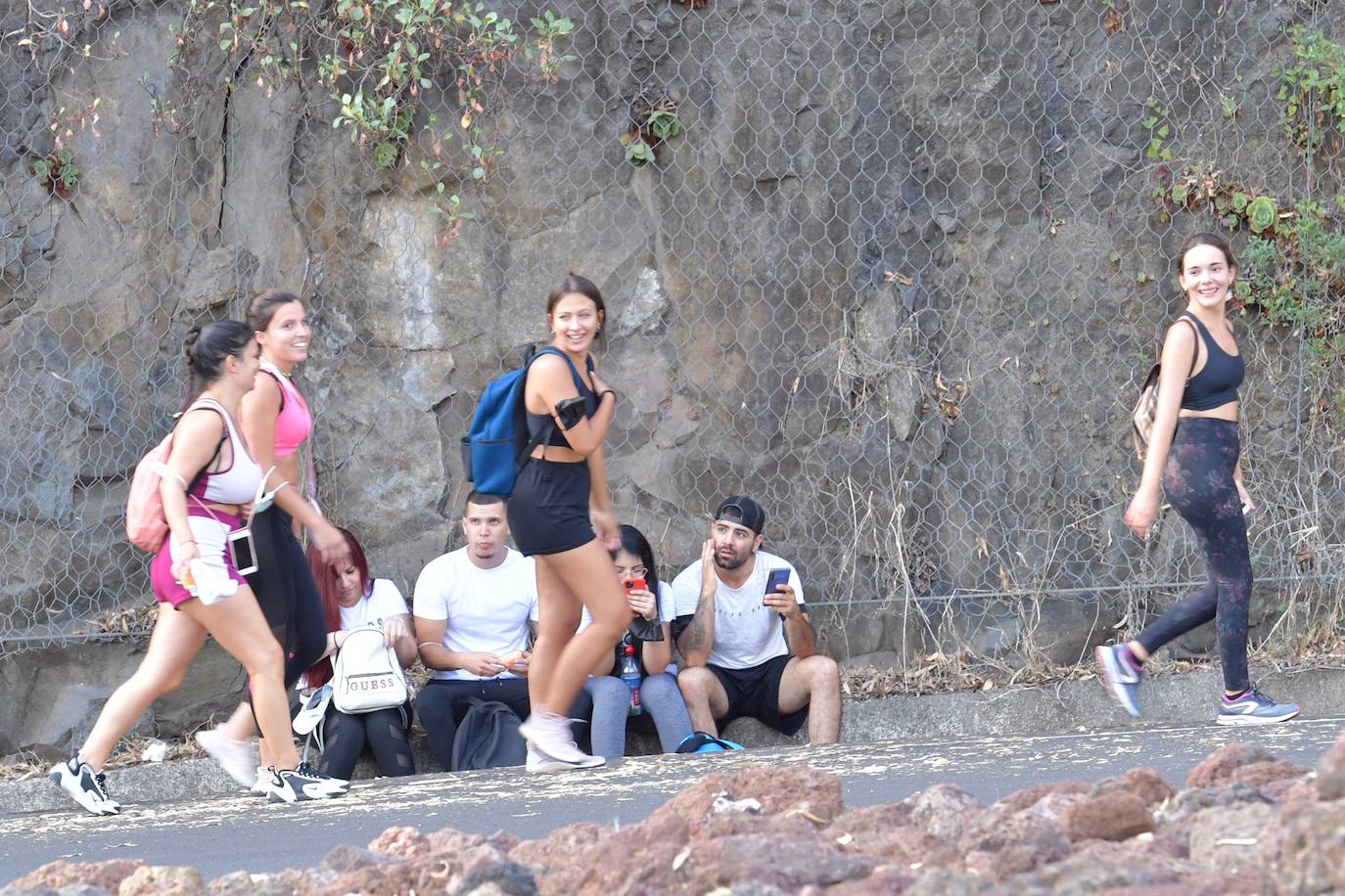 Fotos: Acto institucional del Día del Pino