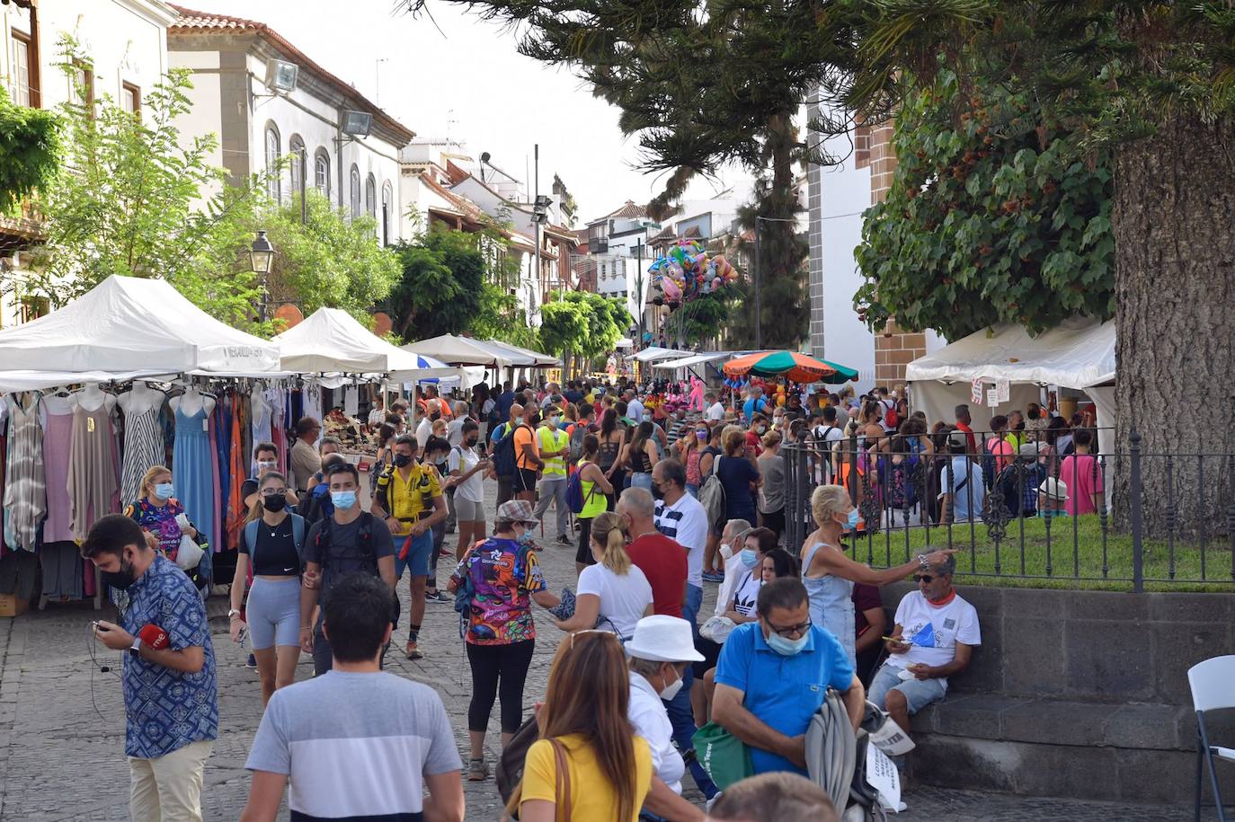 Fotos: Acto institucional del Día del Pino