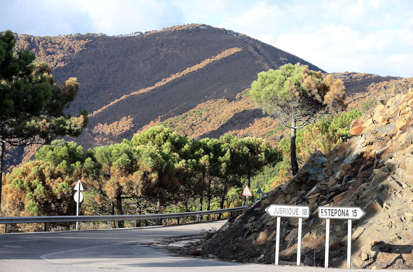 Fotos: Incendio en Sierra Bermeja