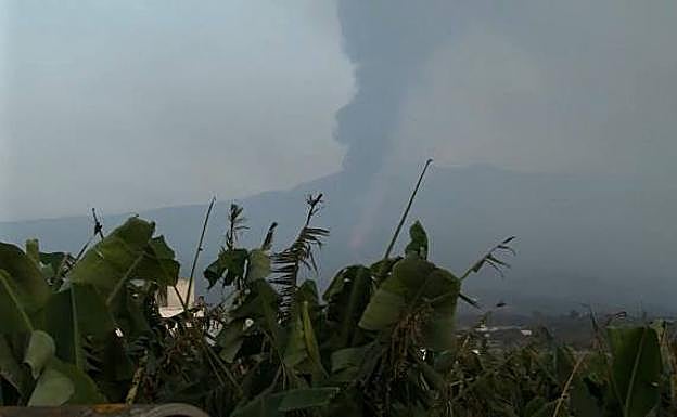 El volcán sigue acechando las plantaciones de plátanos