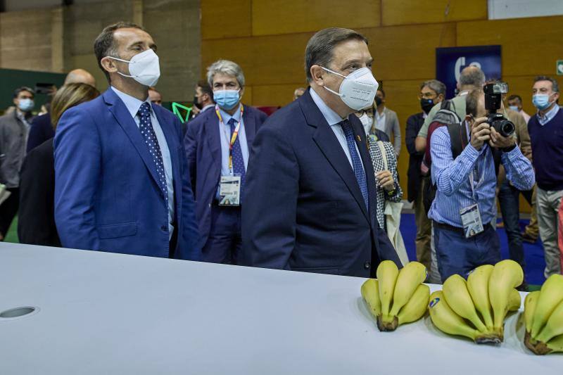 El ministro Planas con plátanos de Canarias. 