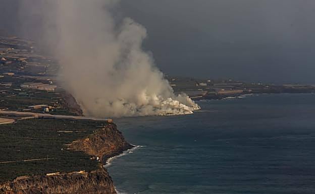 Imagen de la fajana.. 