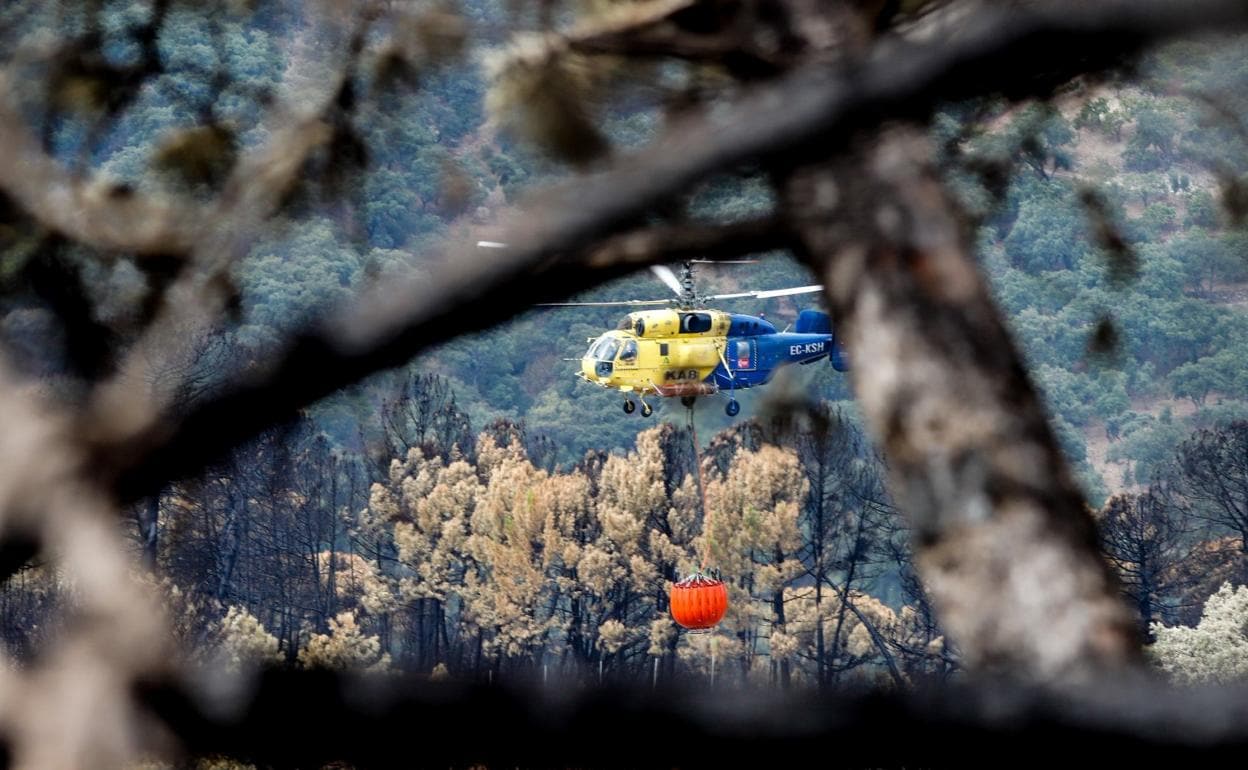 Un helicóptero fletado por el Cabildo de Gran Canaria interviene en un conato de incendio registrado este verano. 