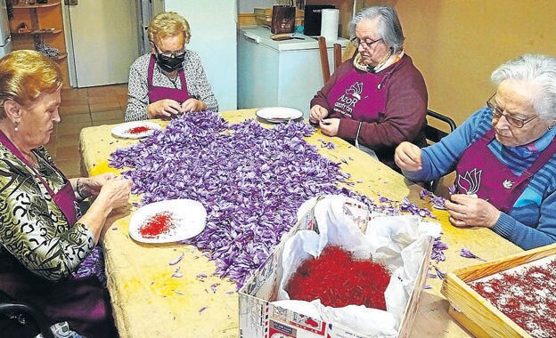 Abuelas de Calamocha, en Teruel, compiten entre ellas para mondar la rosa. 