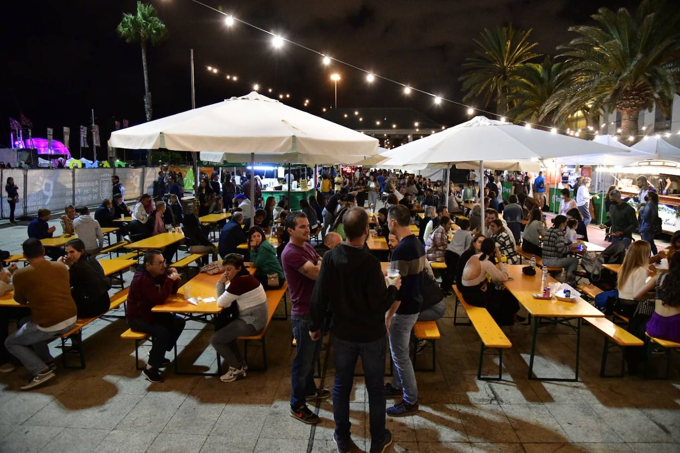 Fotos: Segunda jornada del Womad