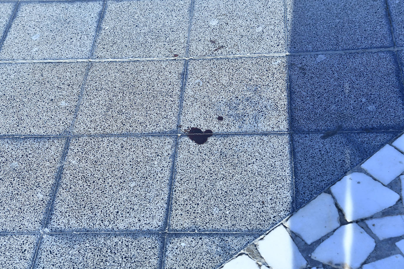 Fotos: Pelea entre jóvenes en el Centro Comercial Plaza en Playa del Inglés