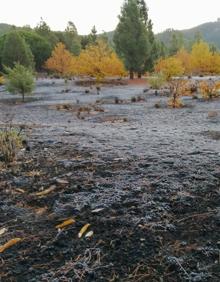 Imagen secundaria 2 - La cumbre grancanaria amanece helada
