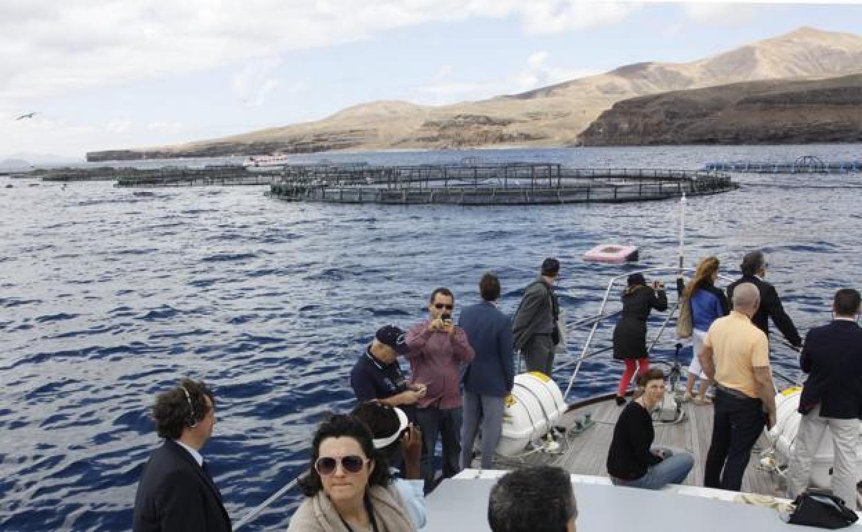 Jaulas marinas en aguas sureñas. 