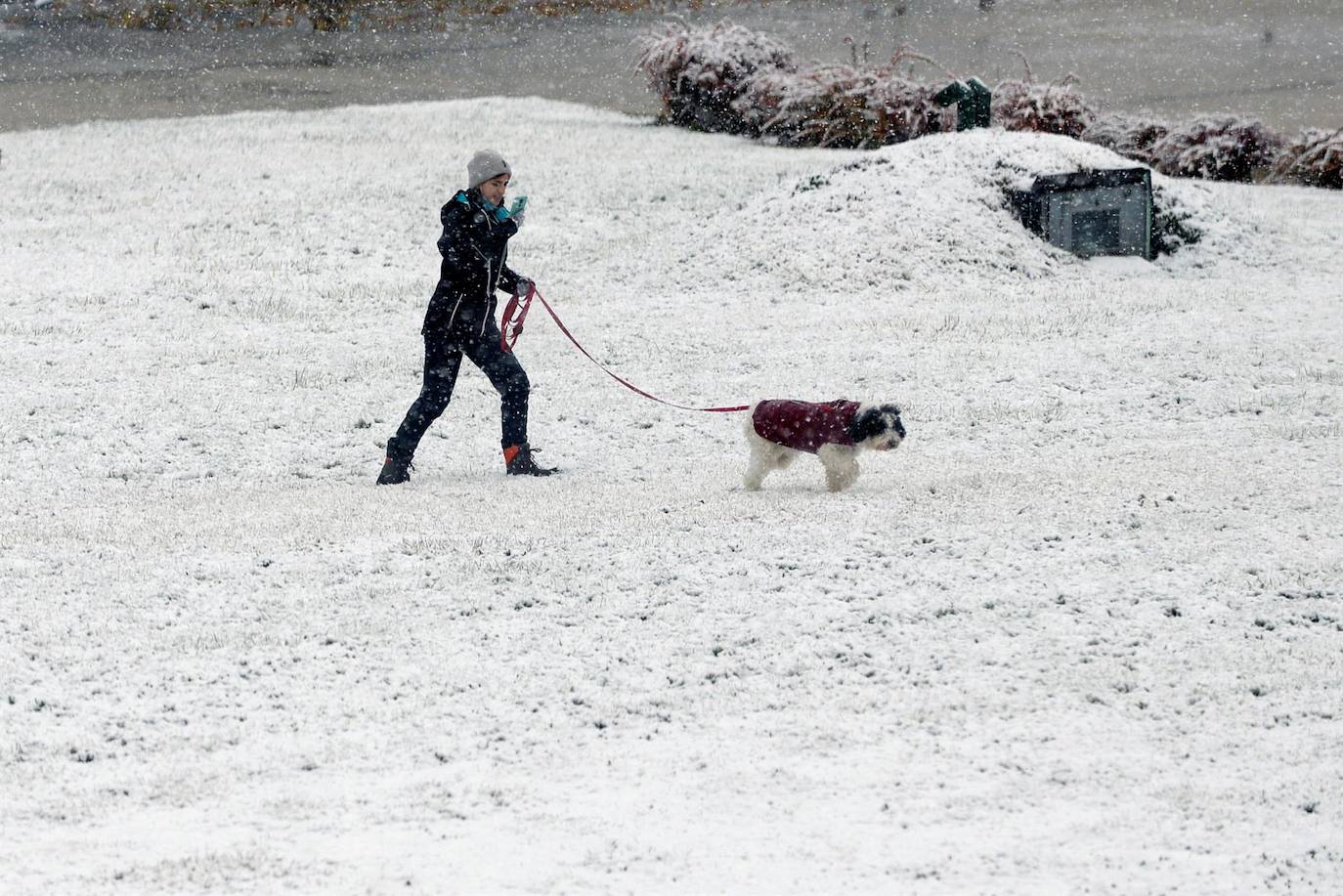 Fotos: Activan alerta por nieve en 7 provincias