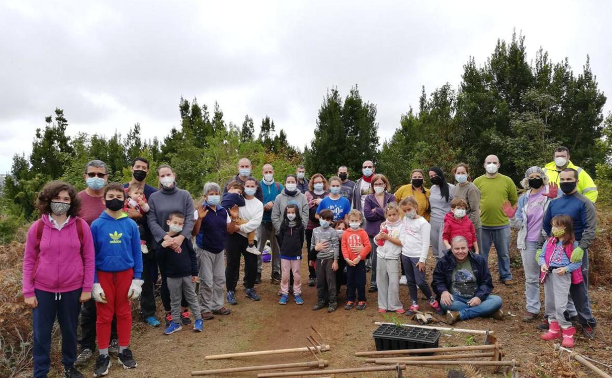 Plantados 150 árboles en el Pico Rayo por colectivos sociales de Valleseco y Firgas