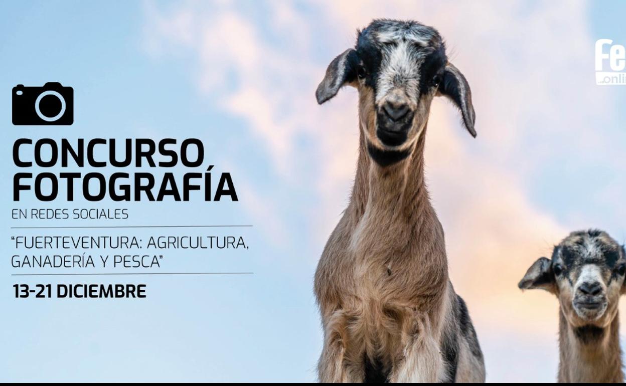 Las imágenes se pueden enviar por email o publicarlas en Instagram. 